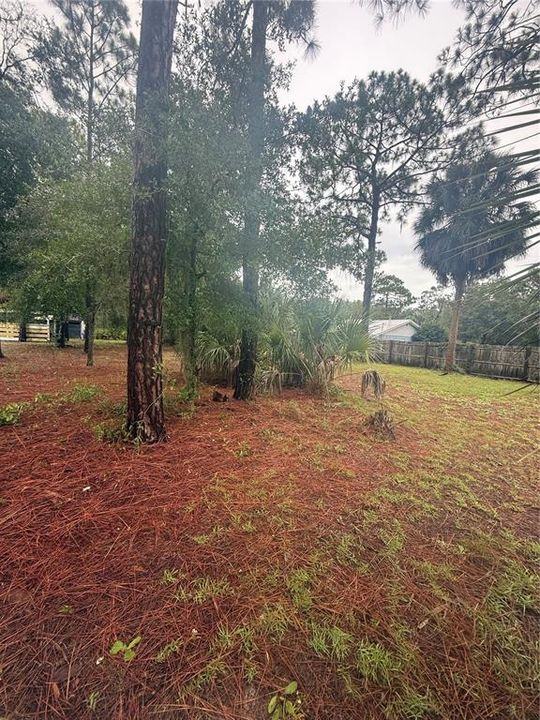待售: $40,000 (0.96 acres)