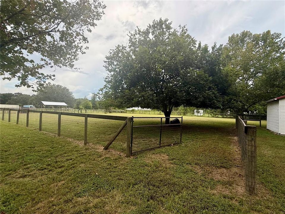 For Sale: $349,900 (3 beds, 2 baths, 1782 Square Feet)