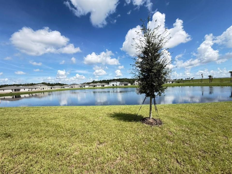 For Rent: $2,800 (5 beds, 3 baths, 2471 Square Feet)