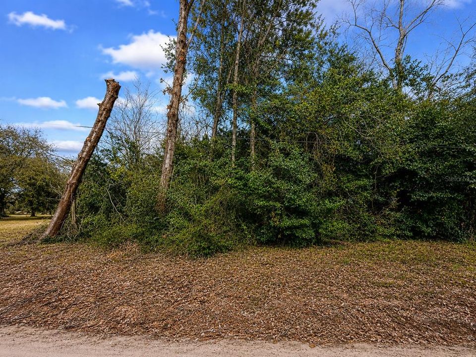 待售: $15,000 (0.25 acres)