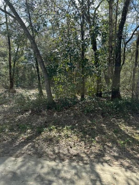 待售: $32,600 (0.44 acres)