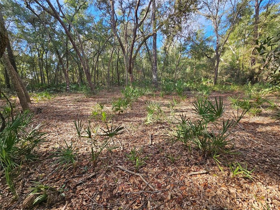 待售: $49,900 (1.16 acres)
