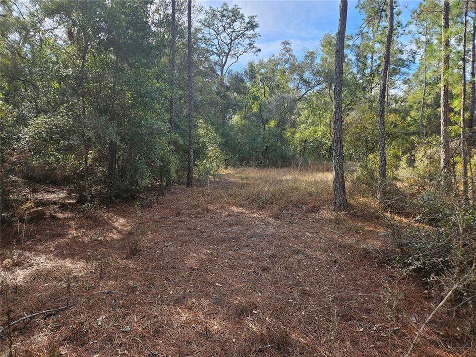 待售: $49,900 (1.16 acres)