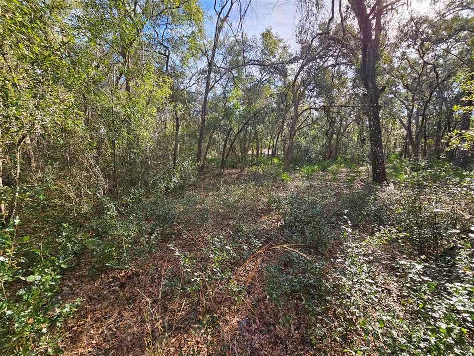 待售: $49,900 (1.16 acres)