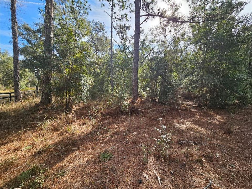 待售: $49,900 (1.16 acres)