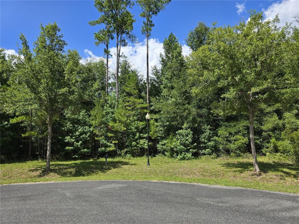 For Sale: $274,900 (1.13 acres)