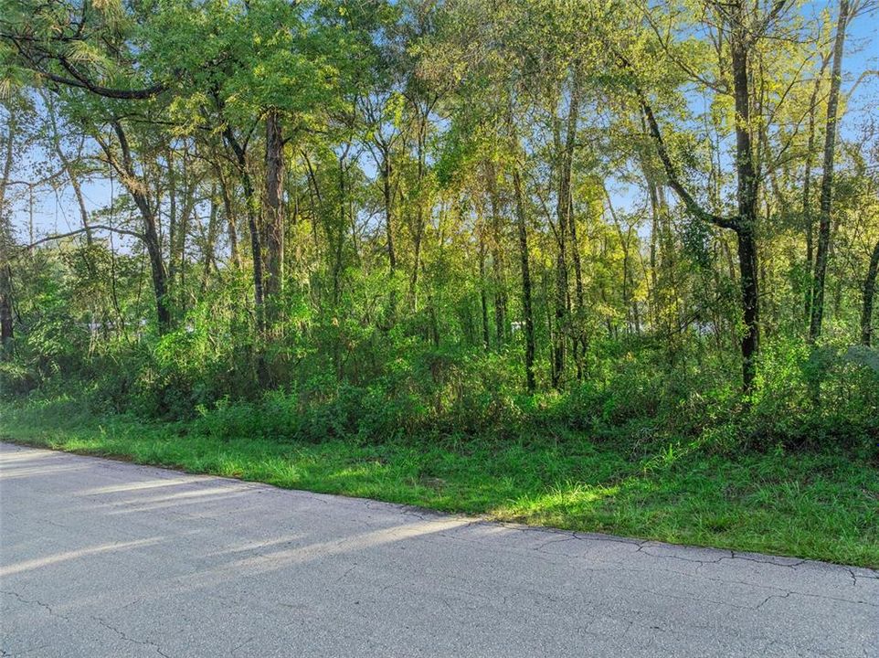 For Sale: $22,000 (0.39 acres)