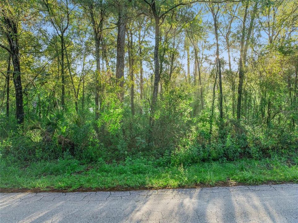 For Sale: $22,000 (0.39 acres)