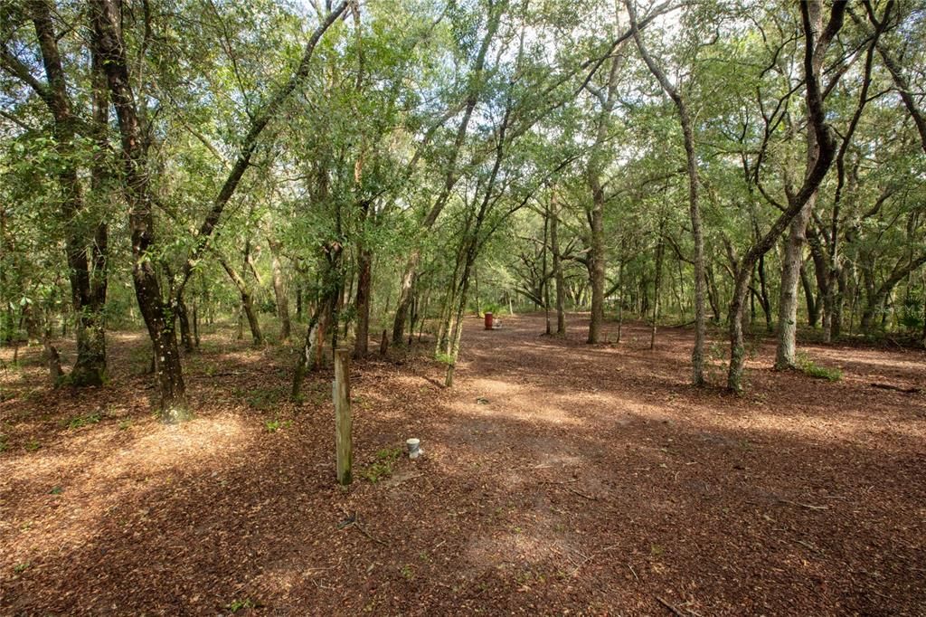 待售: $110,000 (5.30 acres)