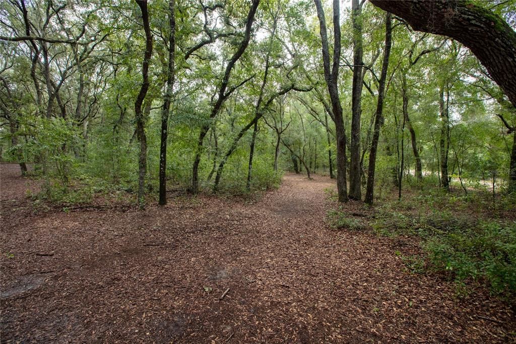 待售: $110,000 (5.30 acres)