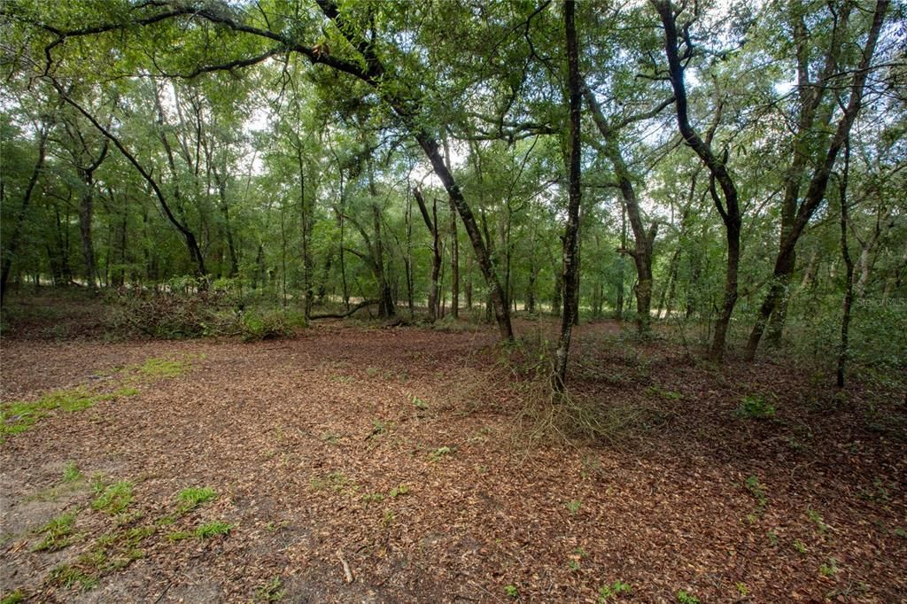 待售: $110,000 (5.30 acres)