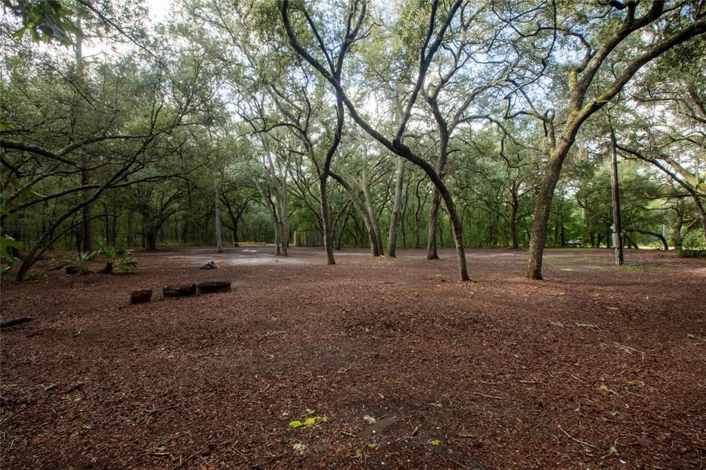 待售: $110,000 (5.30 acres)
