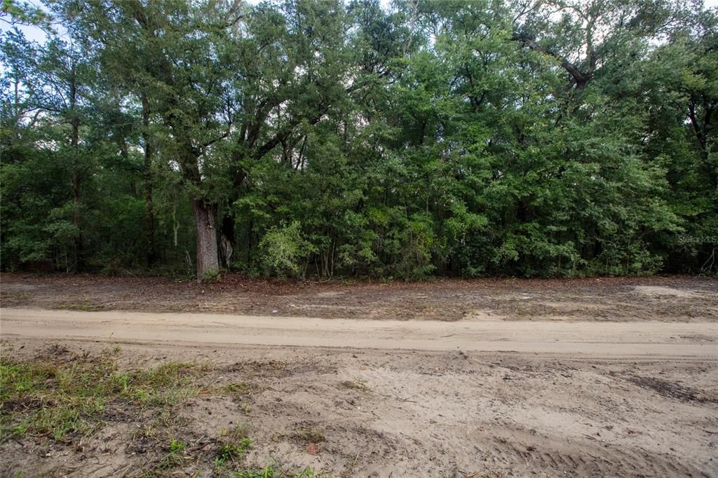 待售: $110,000 (5.30 acres)