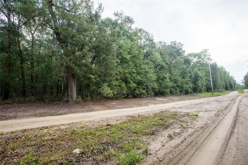 待售: $110,000 (5.30 acres)
