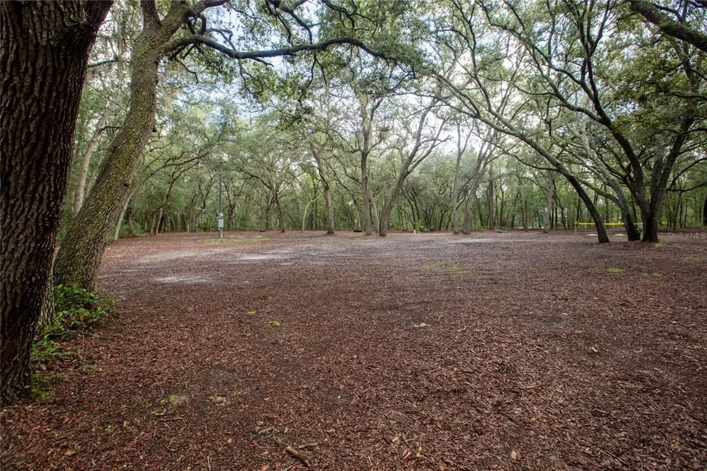 待售: $110,000 (5.30 acres)