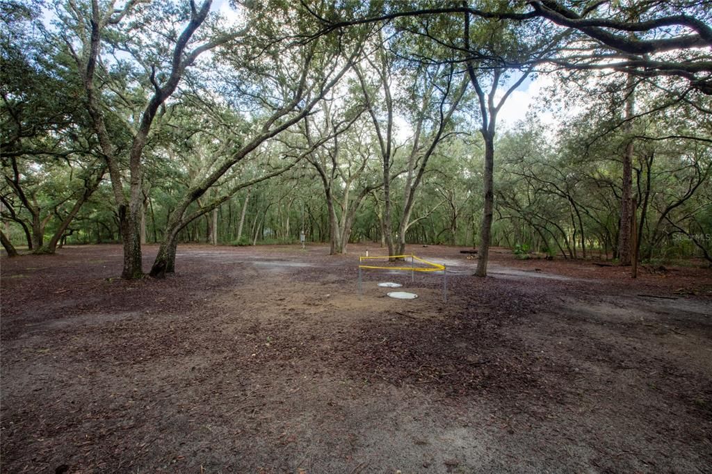 待售: $110,000 (5.30 acres)