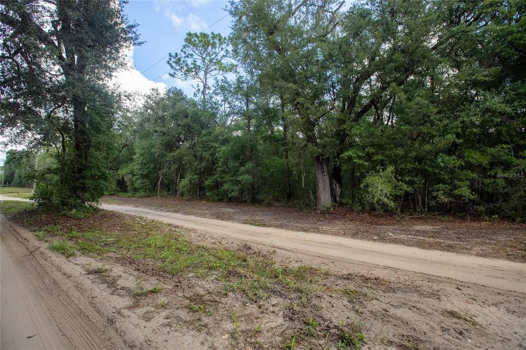 待售: $110,000 (5.30 acres)