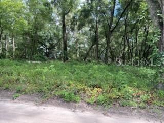 En Venta: $125,000 (1.25 acres)