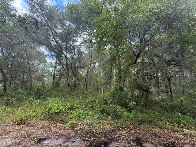 待售: $27,000 (0.51 acres)