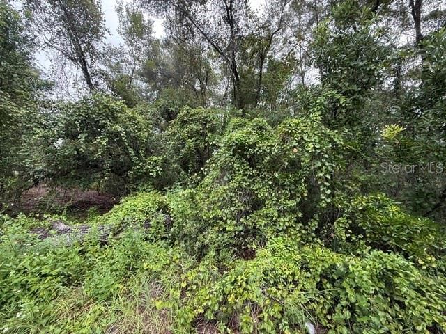 For Sale: $27,000 (0.51 acres)