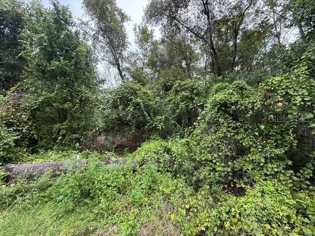For Sale: $27,000 (0.51 acres)