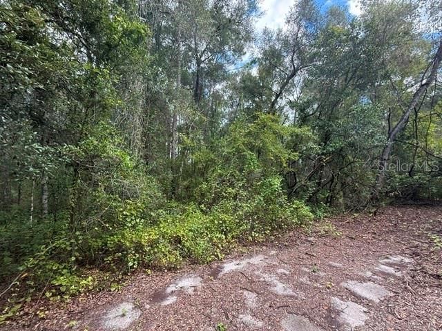 待售: $27,000 (0.51 acres)