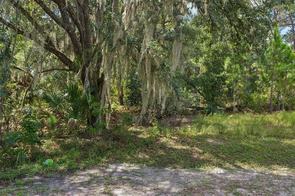 For Sale: $209,000 (3.02 acres)