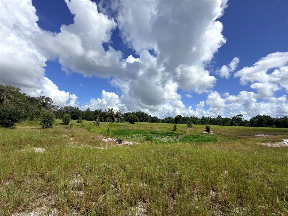 En Venta: $275,000 (10.23 acres)