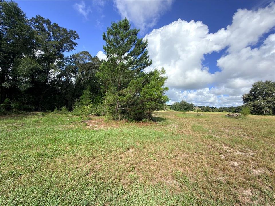 En Venta: $275,000 (10.23 acres)