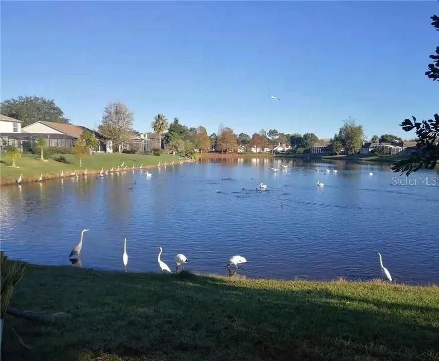En Venta: $565,700 (4 camas, 2 baños, 2308 Pies cuadrados)
