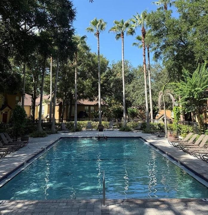 For Rent: $1,550 (1 beds, 1 baths, 794 Square Feet)