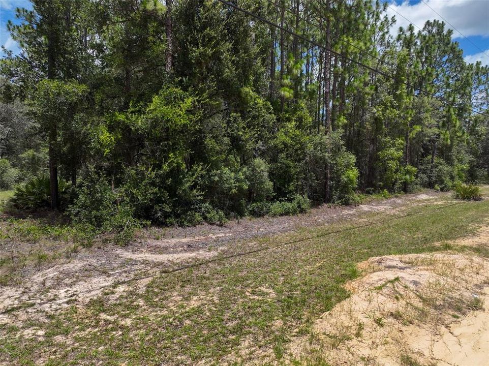 For Sale: $34,900 (1.30 acres)