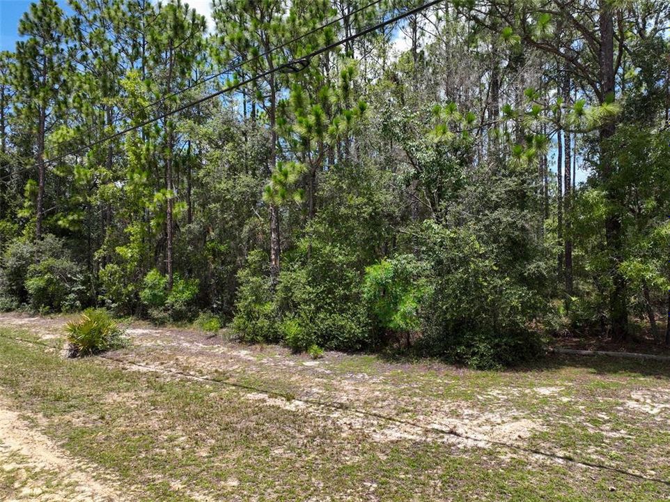 For Sale: $34,900 (1.30 acres)