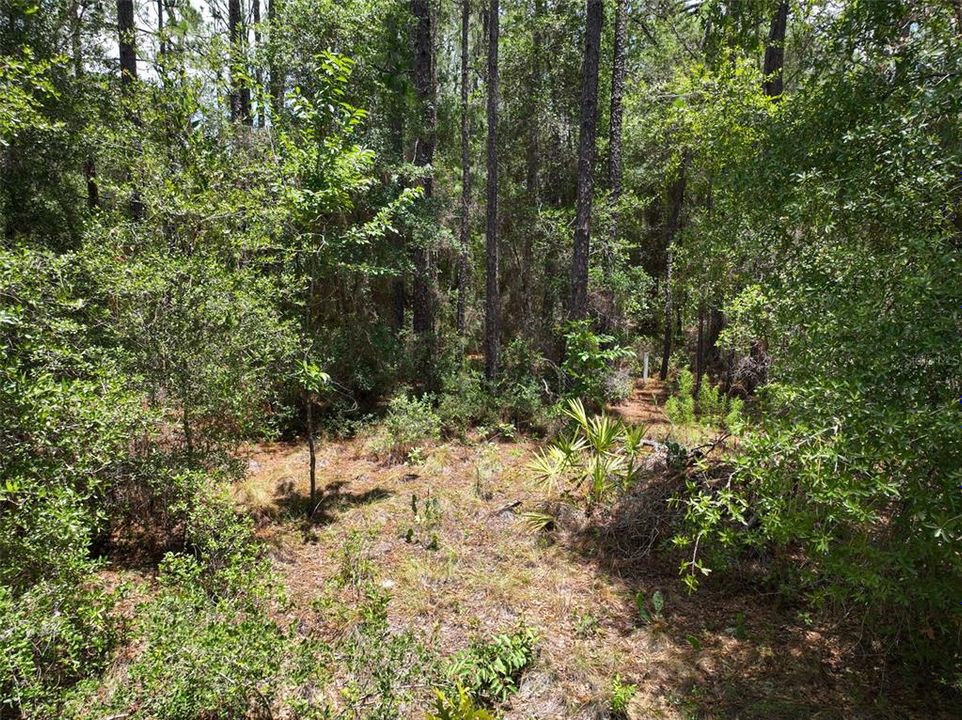 For Sale: $34,900 (1.30 acres)