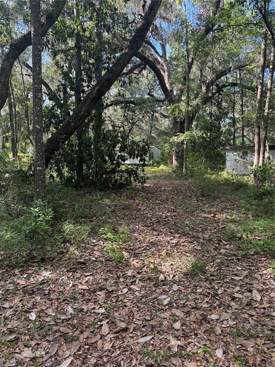 For Sale: $135,000 (11.69 acres)