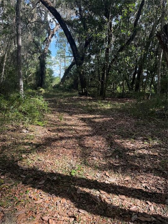 For Sale: $135,000 (11.69 acres)