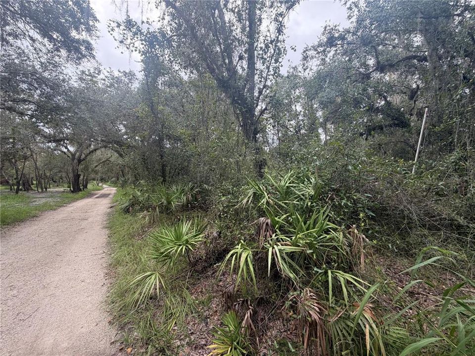 For Sale: $250,000 (2.11 acres)