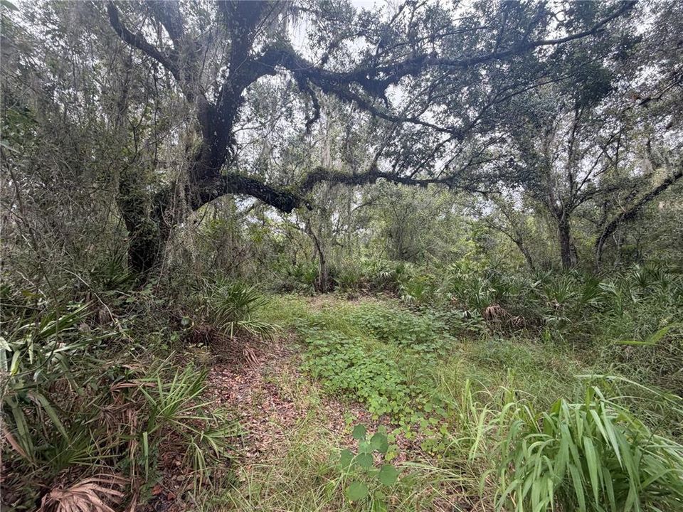 For Sale: $250,000 (2.11 acres)