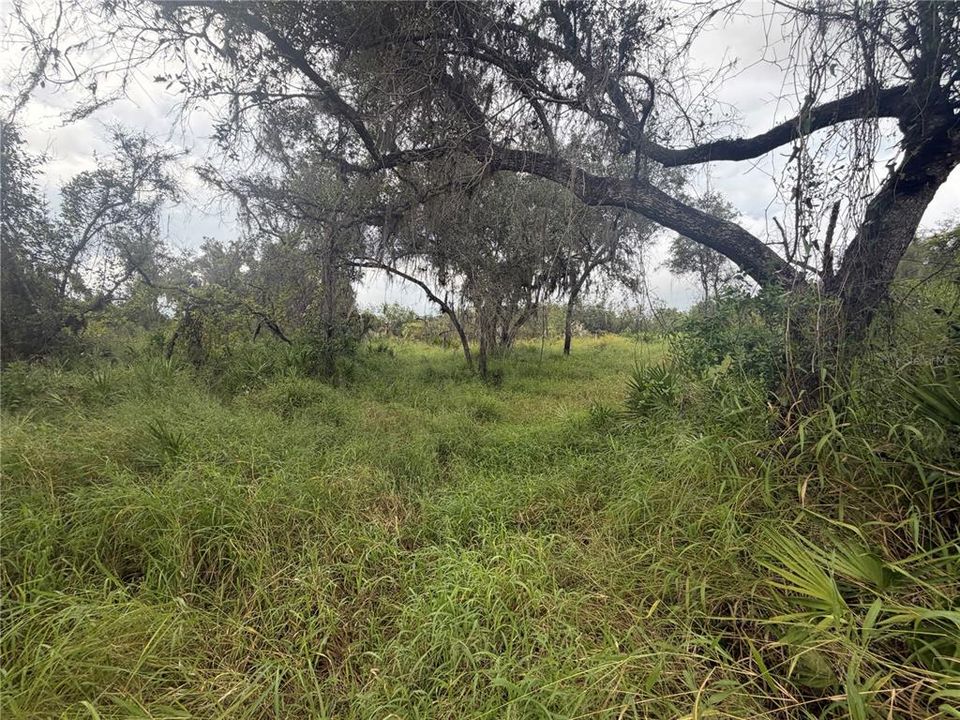 For Sale: $250,000 (2.11 acres)