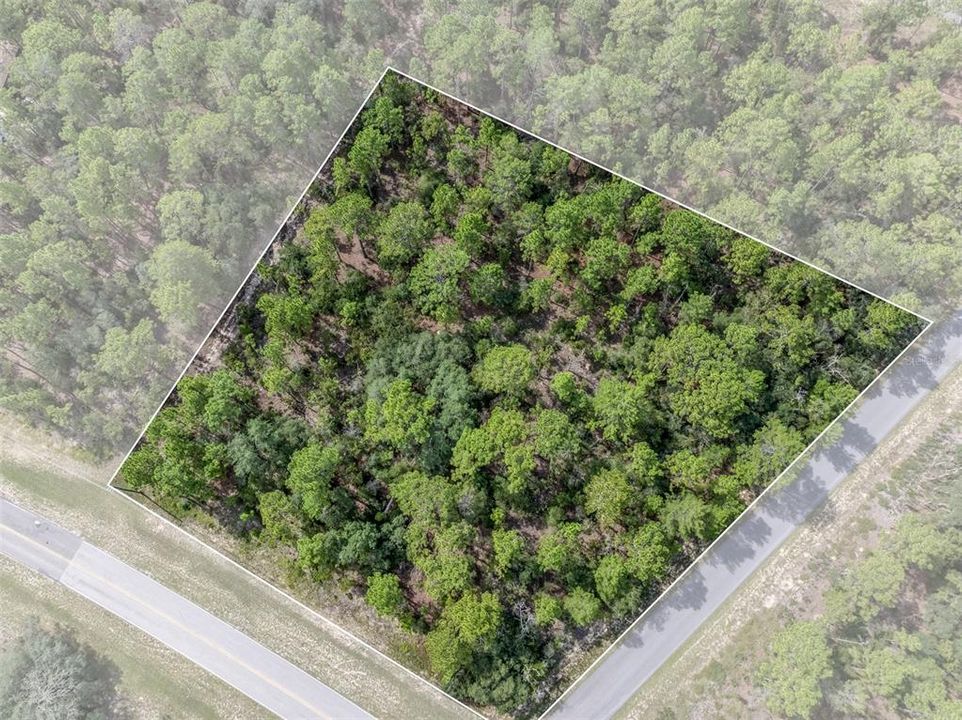 En Venta: $80,000 (1.57 acres)