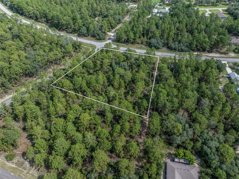 En Venta: $80,000 (1.57 acres)