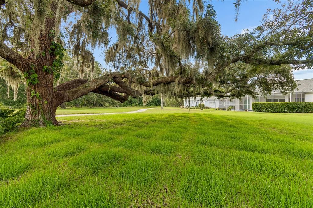 For Rent: $2,300 (3 beds, 2 baths, 2318 Square Feet)