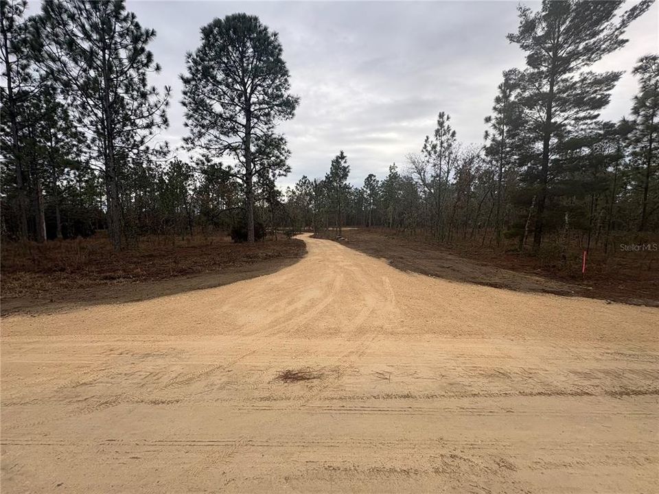 En Venta: $60,000 (1.25 acres)