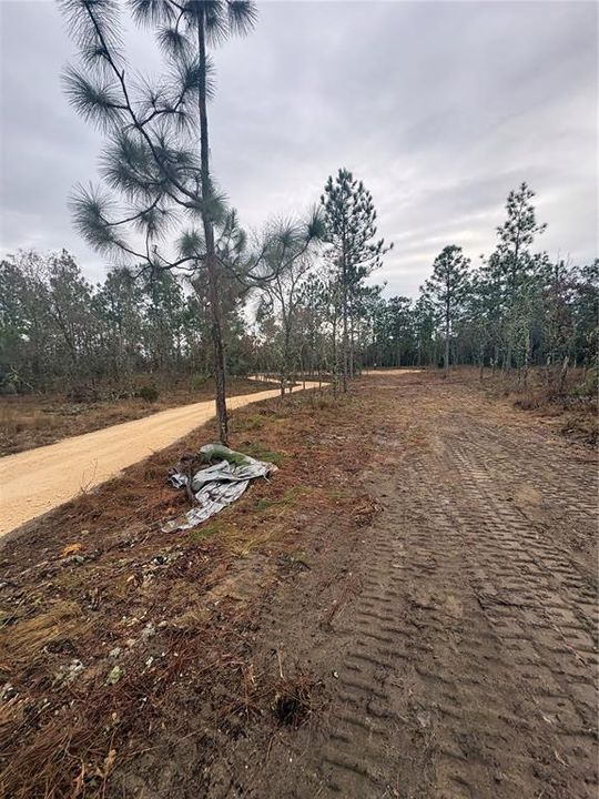En Venta: $60,000 (1.25 acres)