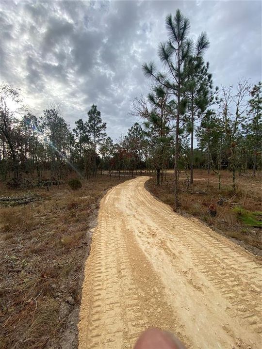 En Venta: $60,000 (1.25 acres)