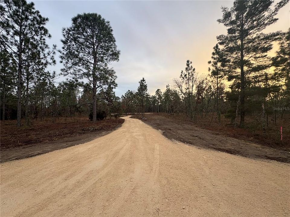 En Venta: $60,000 (1.25 acres)