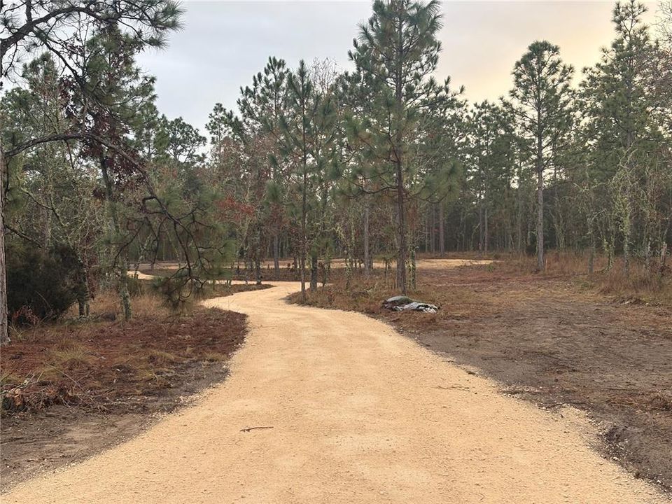 En Venta: $60,000 (1.25 acres)