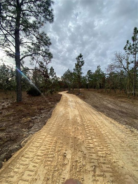 En Venta: $60,000 (1.25 acres)