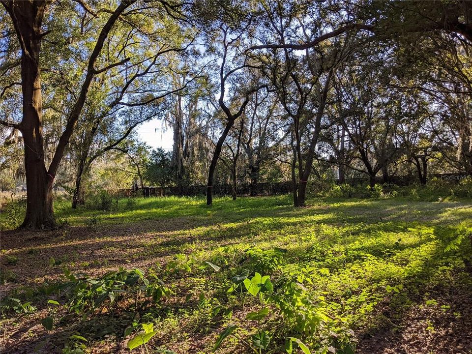 待售: $1,100,000 (4.66 acres)