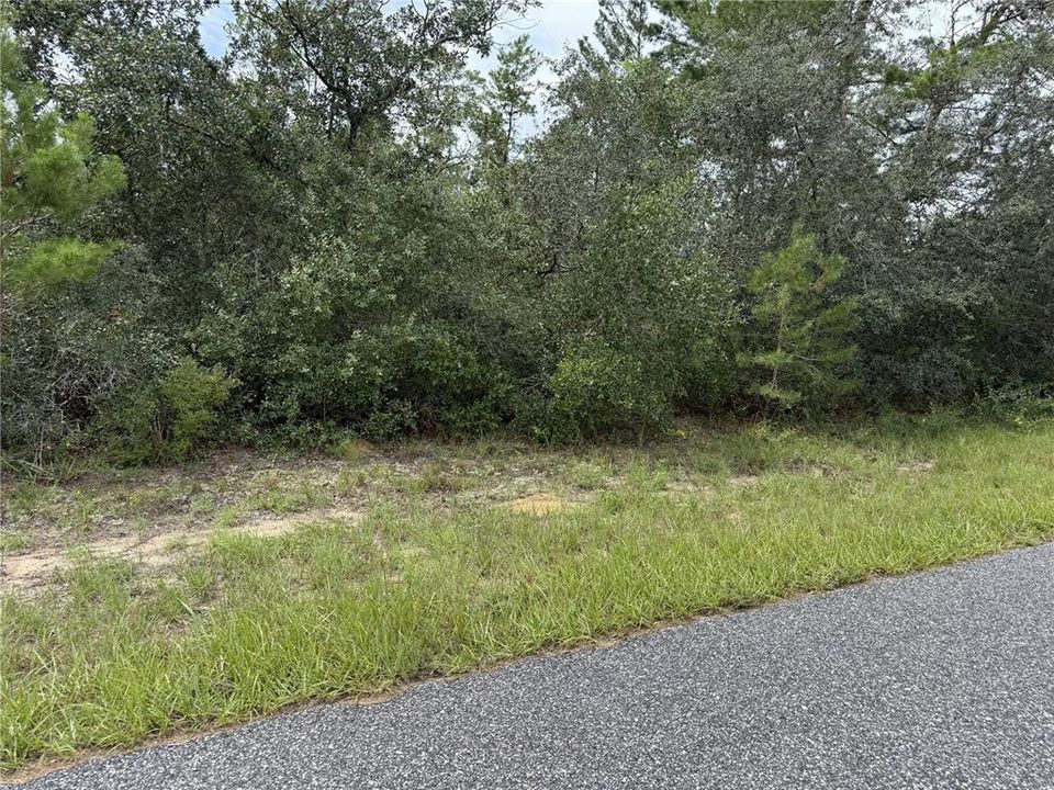 待售: $40,000 (0.74 acres)